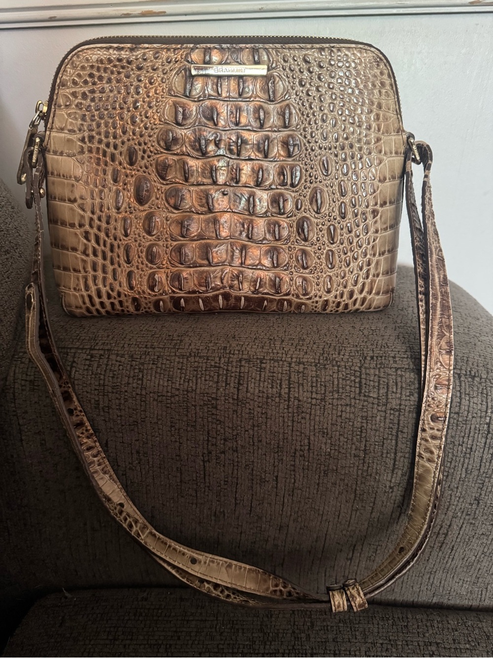 Brahmin Metallic Taupe Croc-Embossed Crossbody